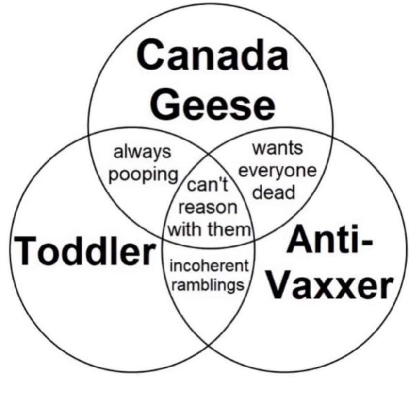 Canada gooses - meme
