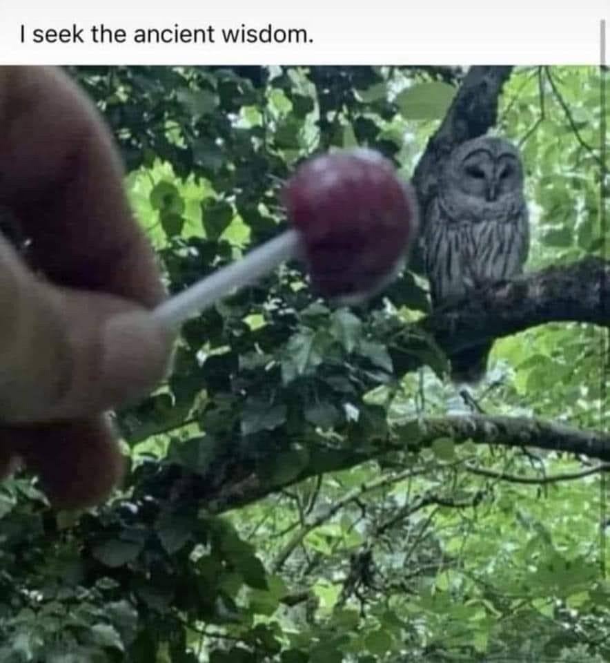 I’m this old - meme