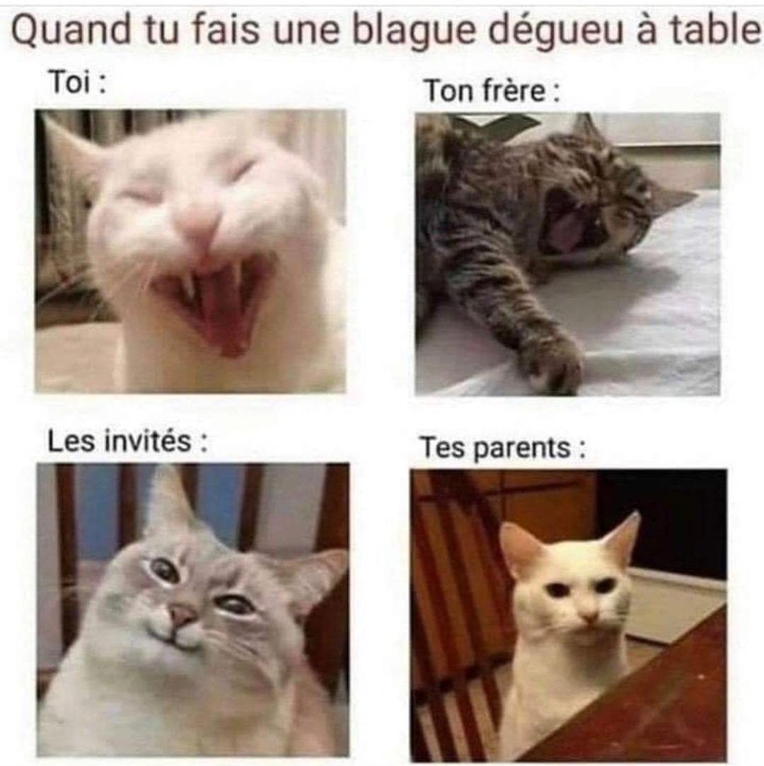 Quand tu balances une blague douteuse devant toute la table - meme