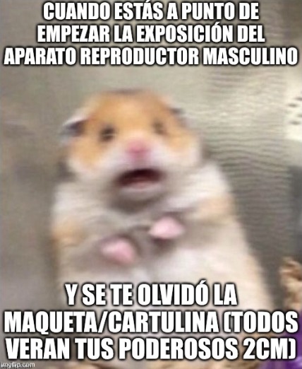 el título se fue como mi papá - meme