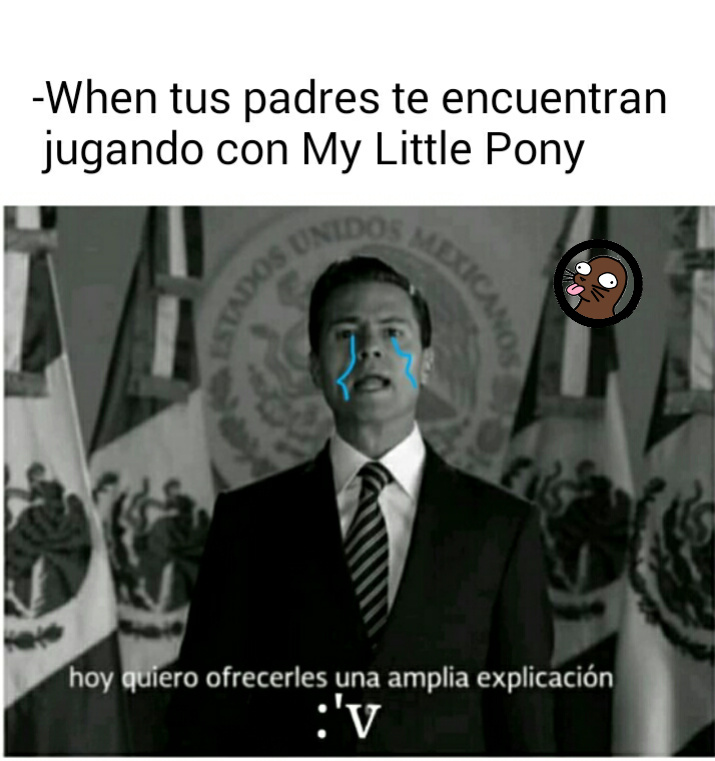 Ponys - meme