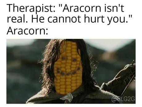 Aracorn - meme