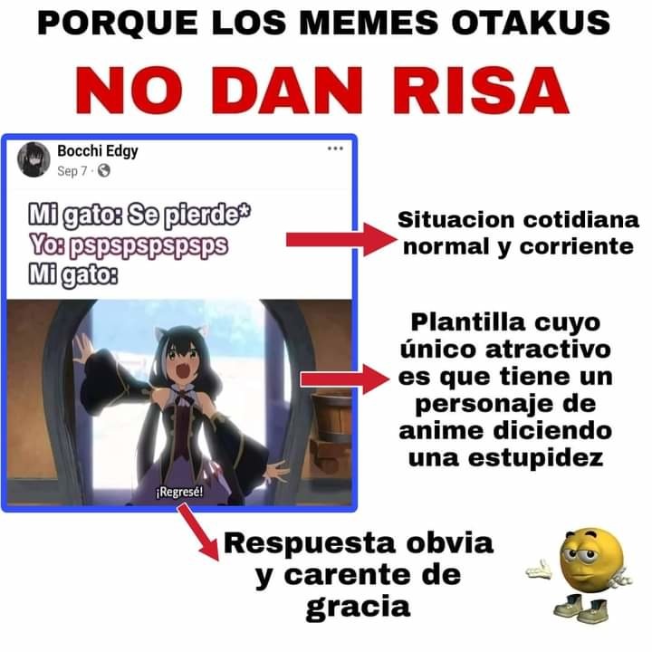 Es eso o porno no hay de otra - meme