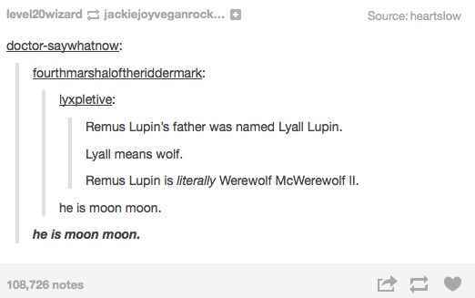 I'm naming my dog Moon Moon - meme