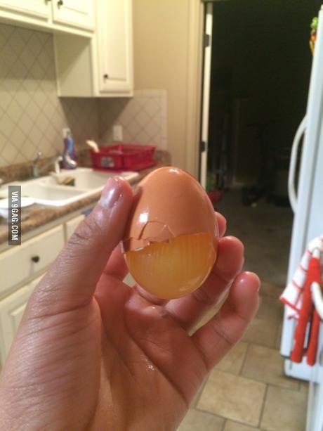 cracked the egg but the membrane didn't open - meme