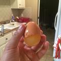 cracked the egg but the membrane didn't open