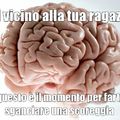 stupid brain