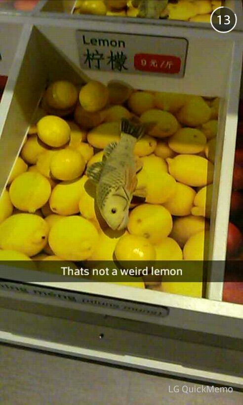 lemon - meme