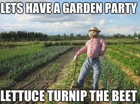 Garden party - meme