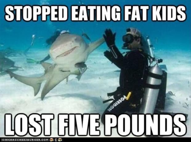 shark week - meme
