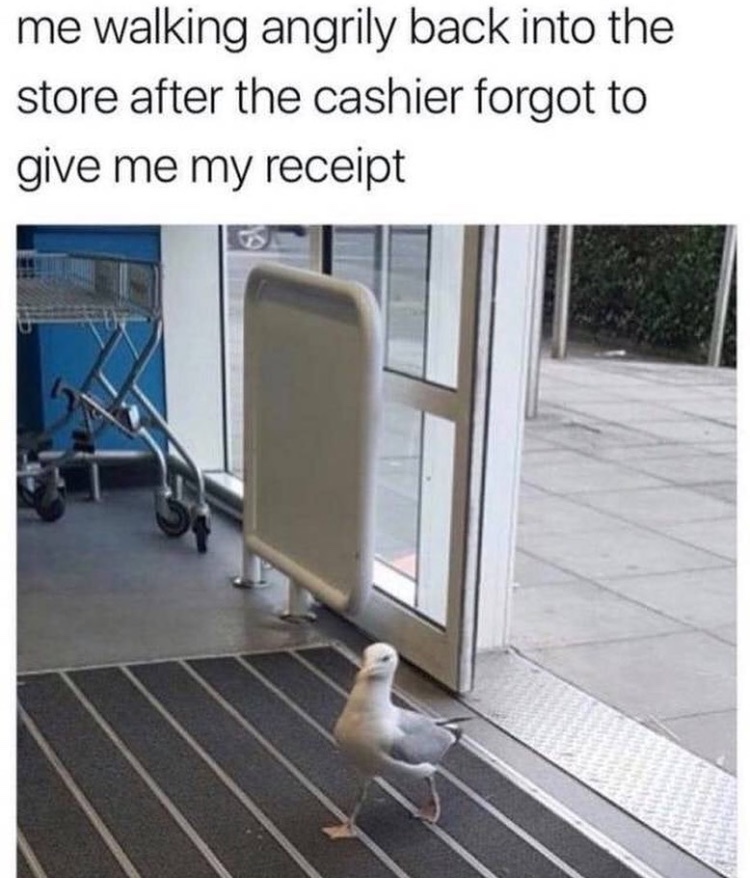 angry seagull Karen - meme