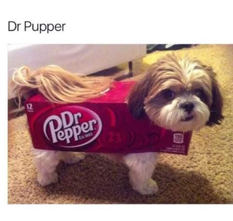 dr pupper - meme