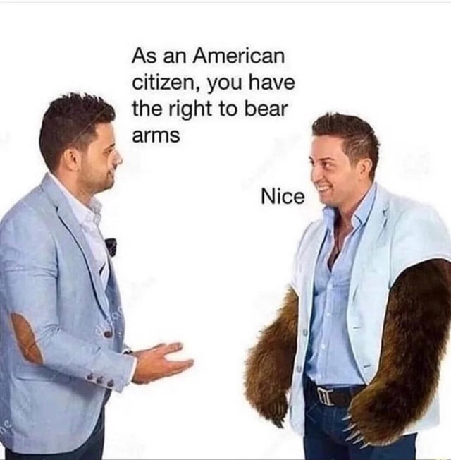 You have the right to bear arms - meme