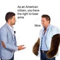 You have the right to bear arms