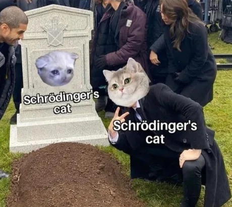 Schrodinger's cat meme