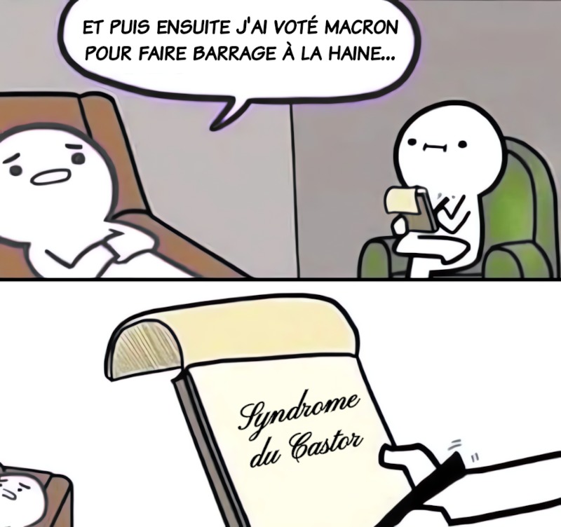Un trouble psychiatrique chronique - meme