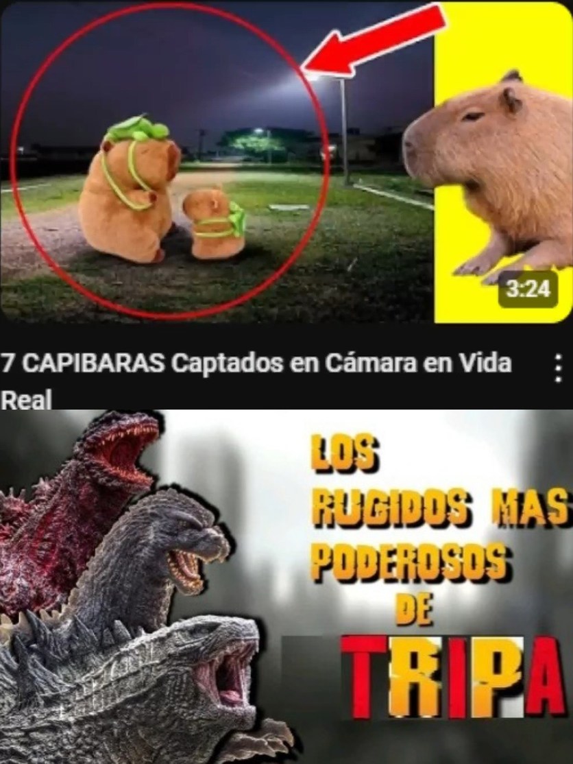 Pero webon, esos animales existen, ni que fueran Top 7 Jeff The Killers captados en camara - meme
