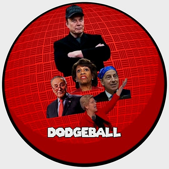 Constitutional Crisis - meme