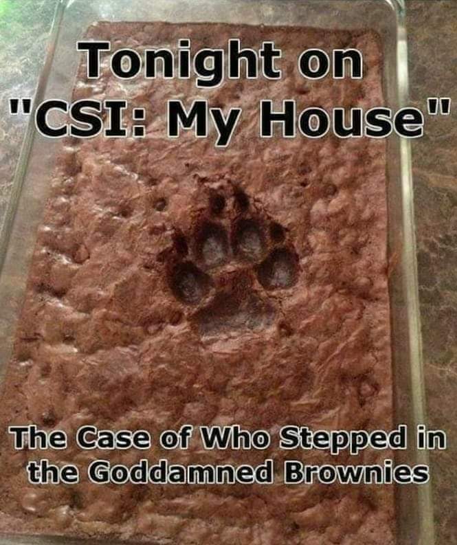 Pup brownies - meme