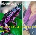 Poisonous creatures