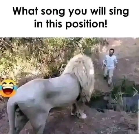 Which song will you sing in this position - meme