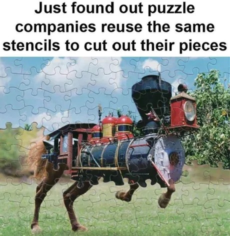 Puzzle facts you need to know - meme