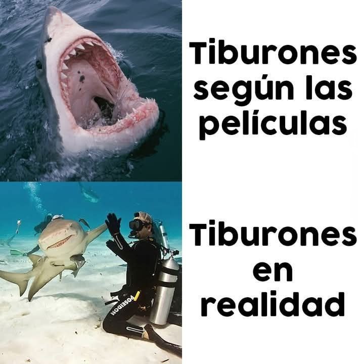 Los tiburones son buena gente - meme