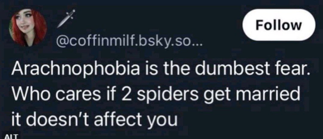 who cares if 2 spiders got married - meme