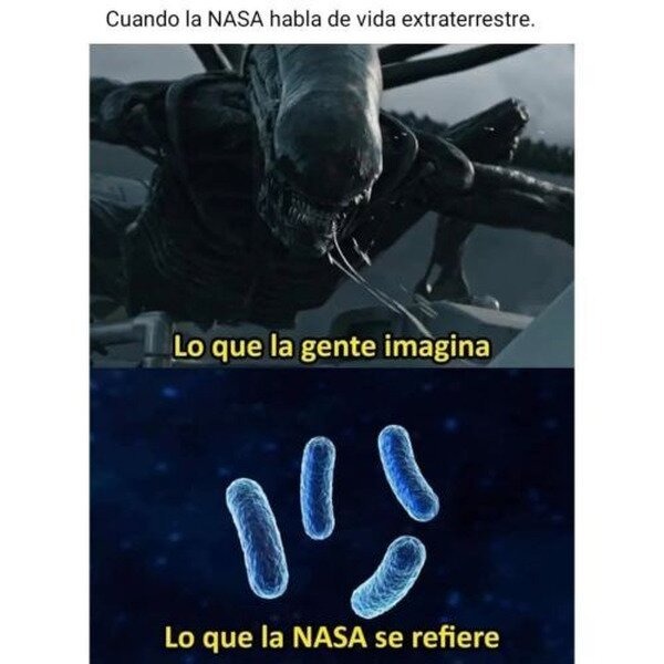 la nasa descubre vida extraterrestre - meme