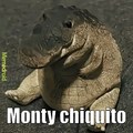 Monty chiquito