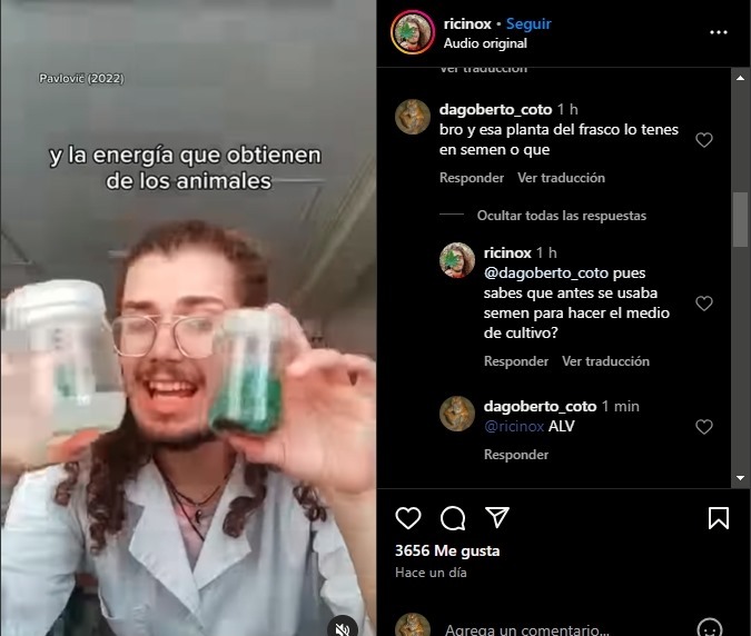 ALV - meme