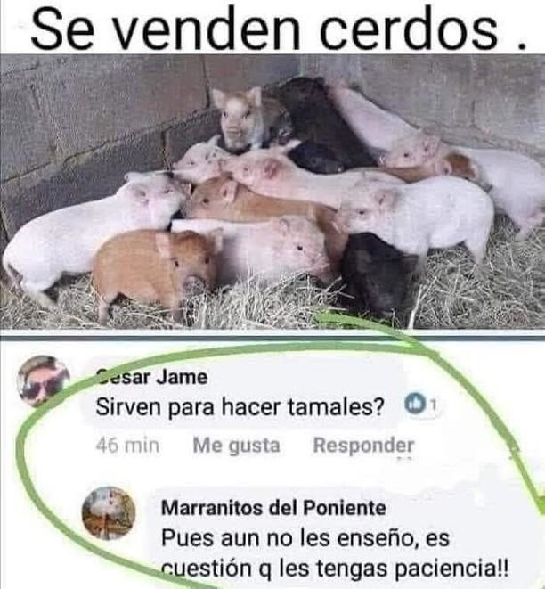 Tranquilo yo puedo esperar - meme