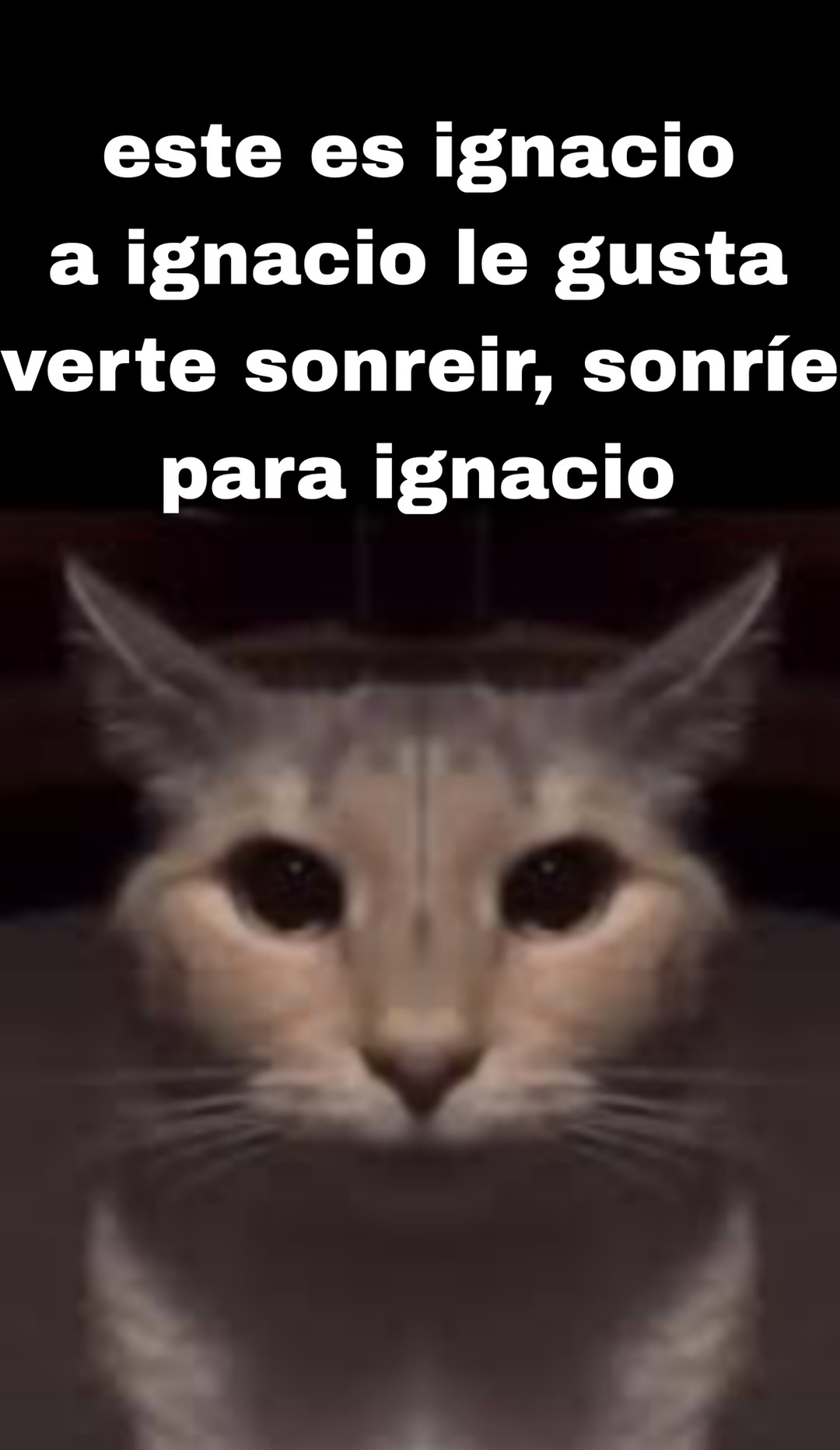 Ignacio - meme
