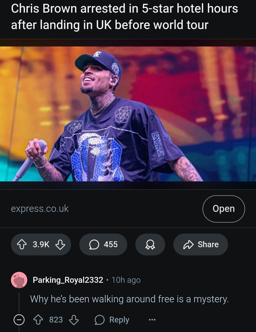 Chris Brown arrested in a 5-star hotel like it's a plot twist - meme