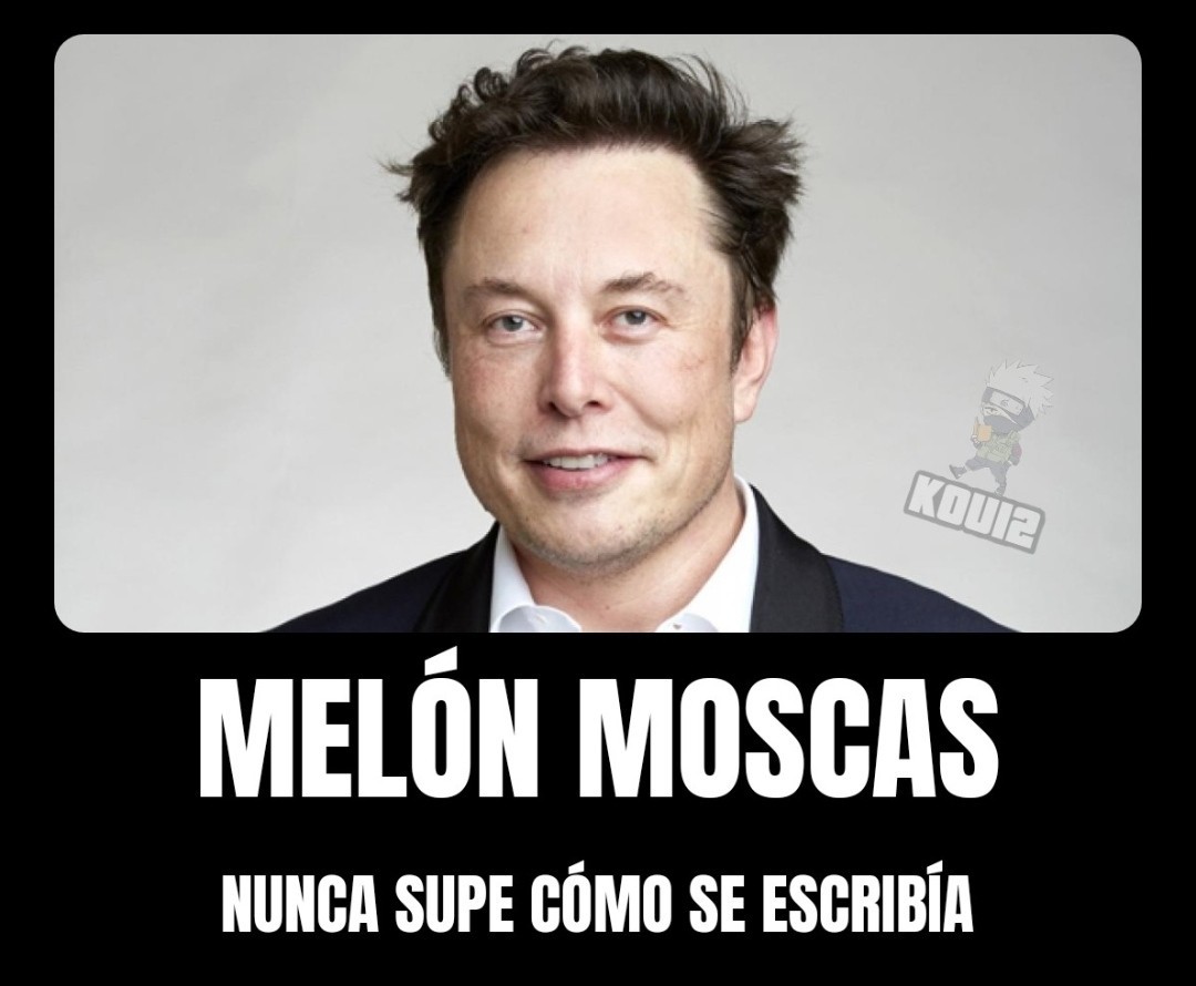 Melón Moscas - meme