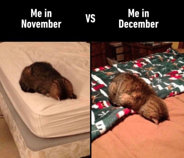 Me in November vs me in December - meme