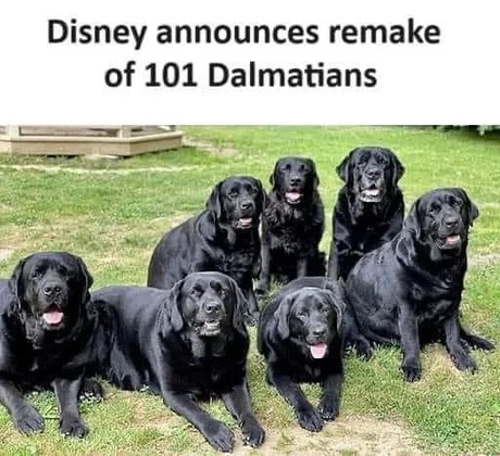 101 dalmatians Disney adaptation - meme