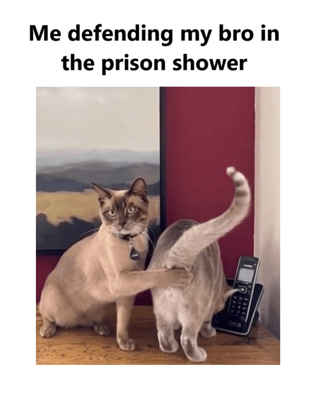 bros at prison - meme