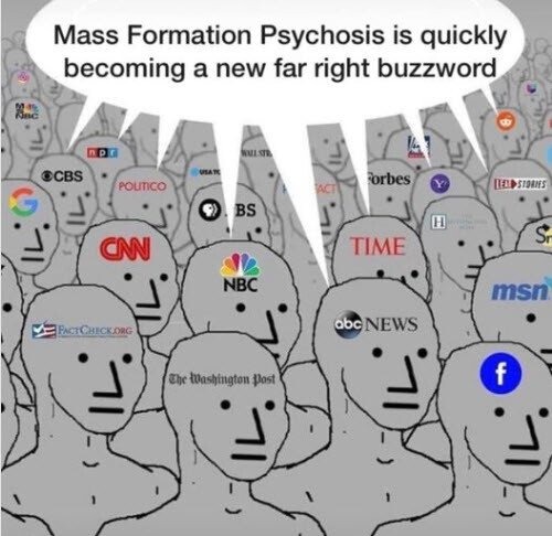 Mass formation psychosis - meme