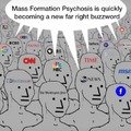 Mass formation psychosis