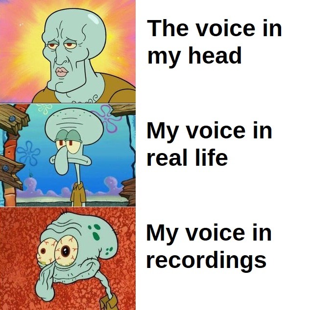 Voices - meme