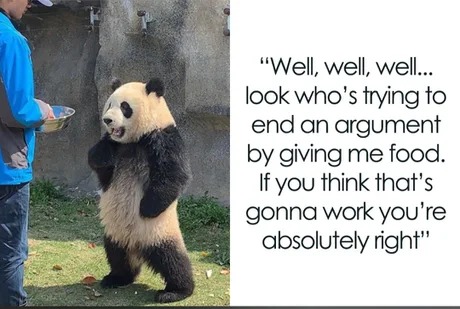 Pandas are not real - meme