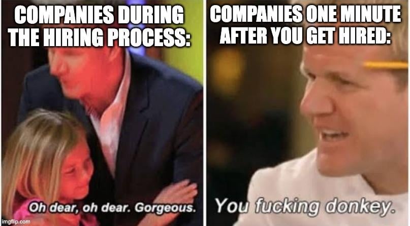 Companies after you get hired - meme