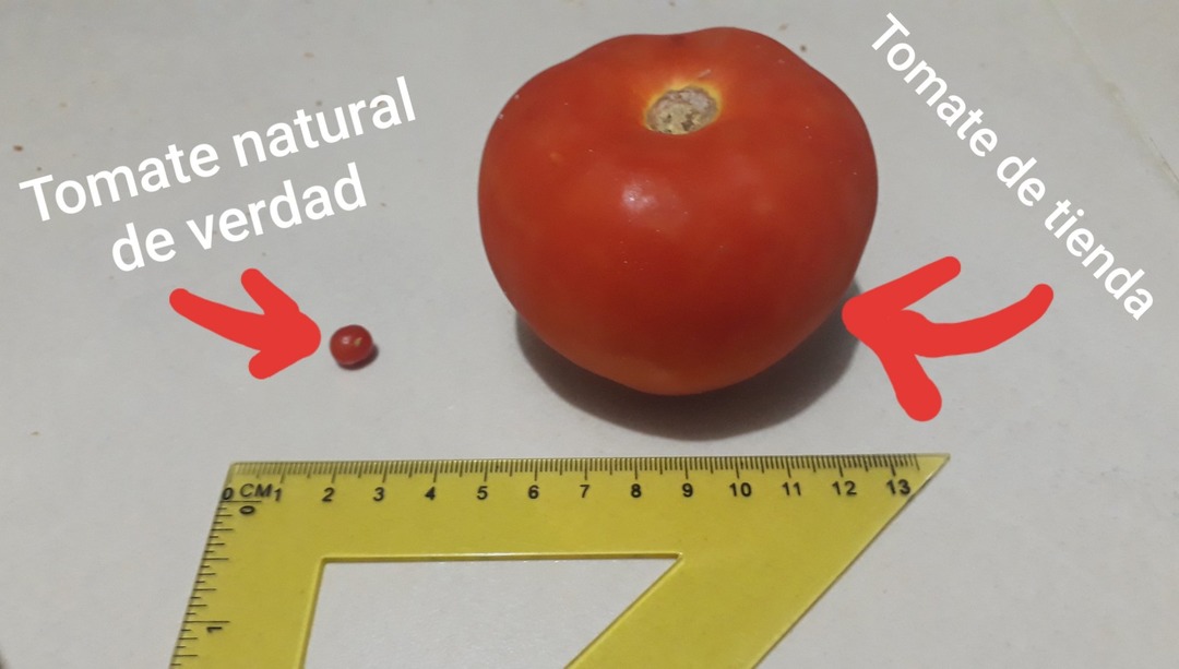Una información que quería compartir con los hermanos memedroideros。