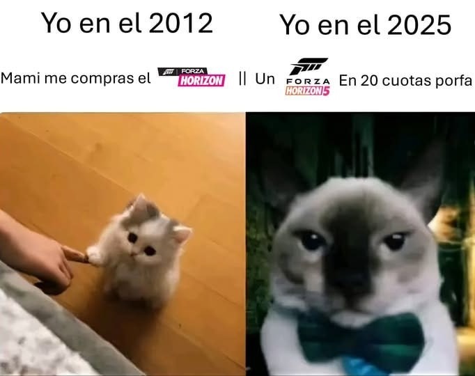 Del OREZMN al Forza en 20 cuotas - meme