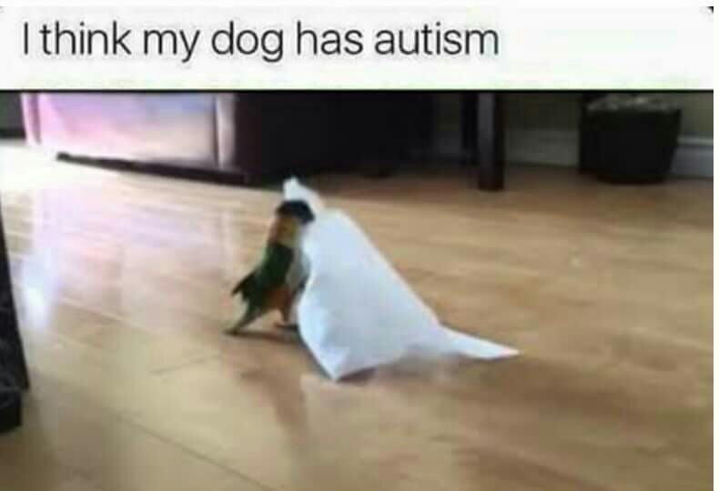Autism - meme