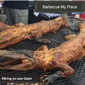 #Gator Barbecue