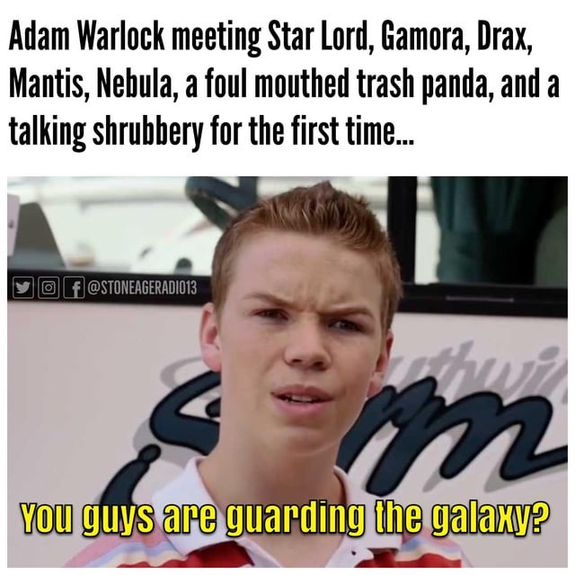 You guys are guarding the galaxy? - meme