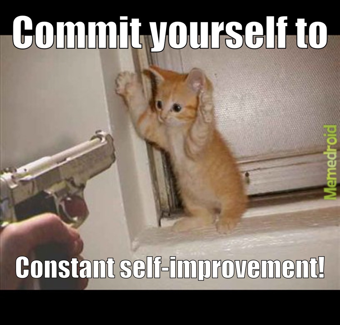 self-improvement cat - meme