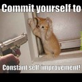 self-improvement cat